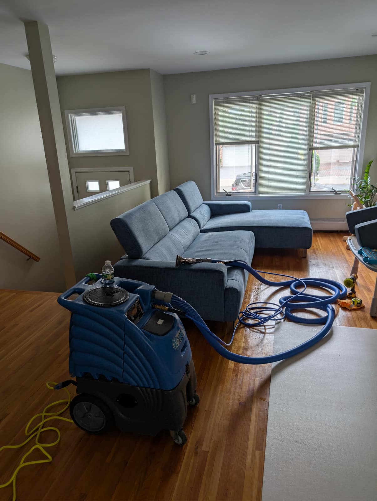 Light blue sectional sofa being upholstery-cleaned by a bay window with an NJ city view
