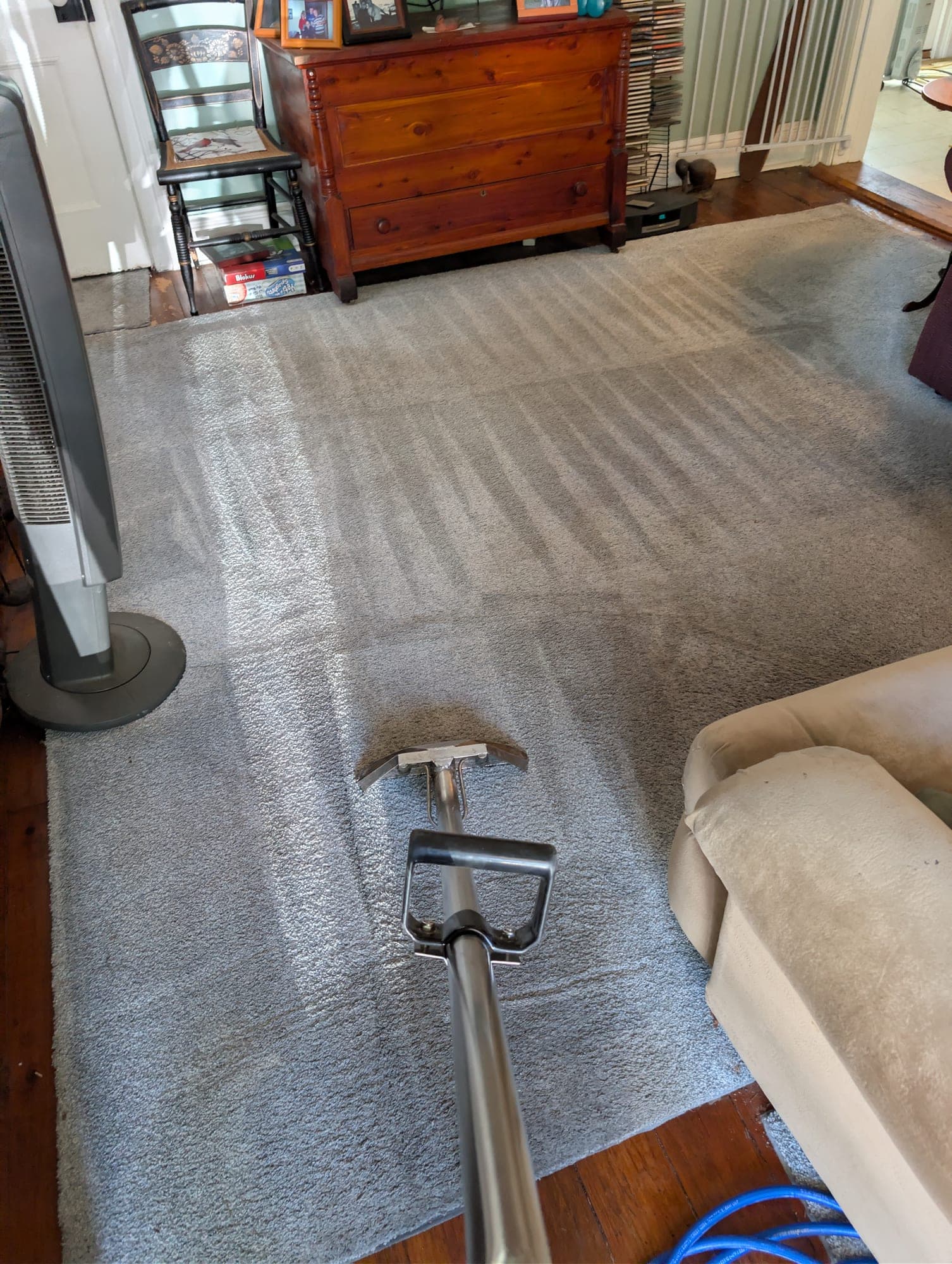 Gray carpet with bold V-pattern extraction marks, stainless steel wand visible mid-stroke — Bergen County NJ