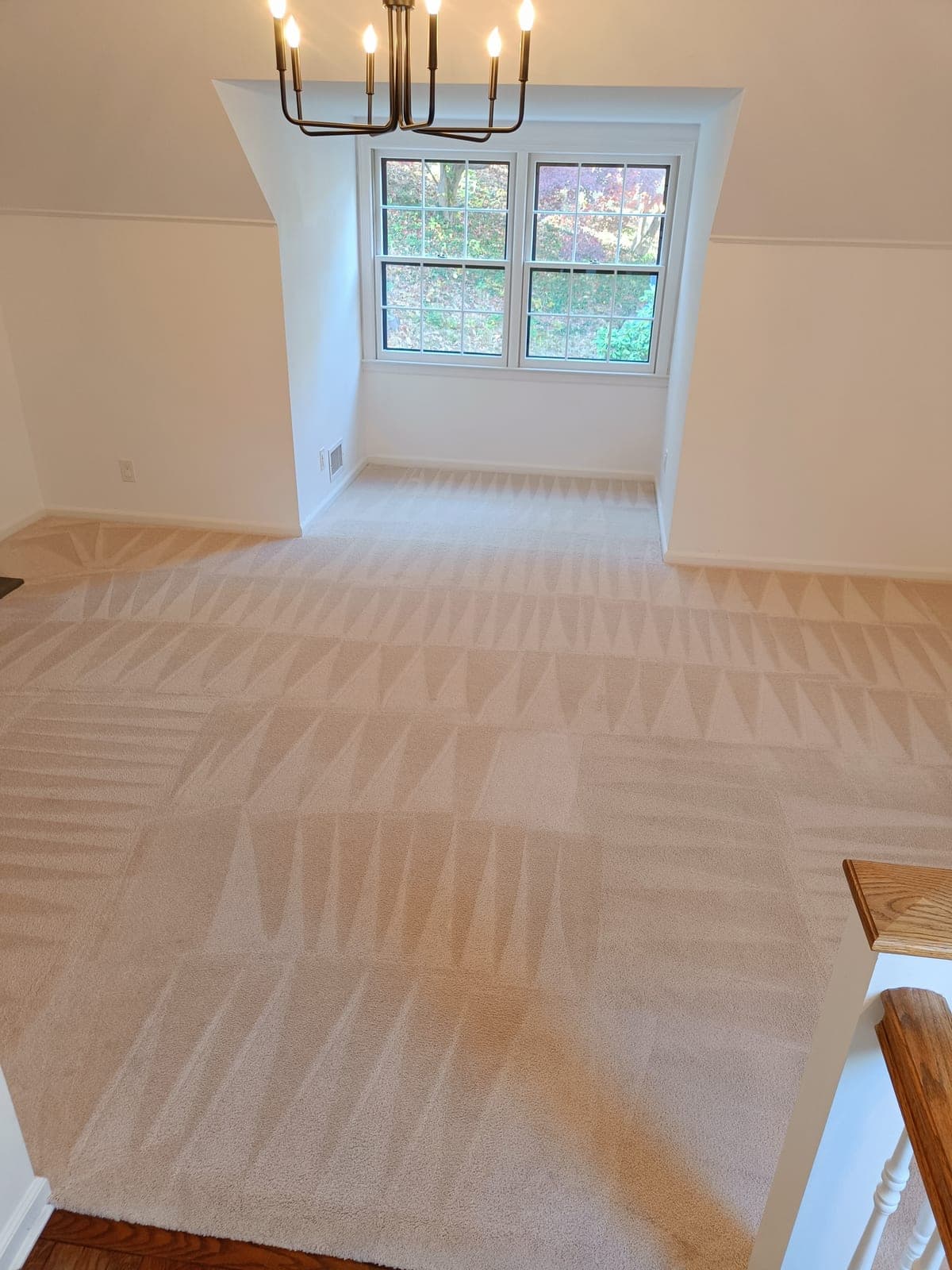 Cream dining-room carpet under a brass chandelier with fresh hot-water extraction marks across the whole floor — Zep carpet cleaning, Bergen County NJ