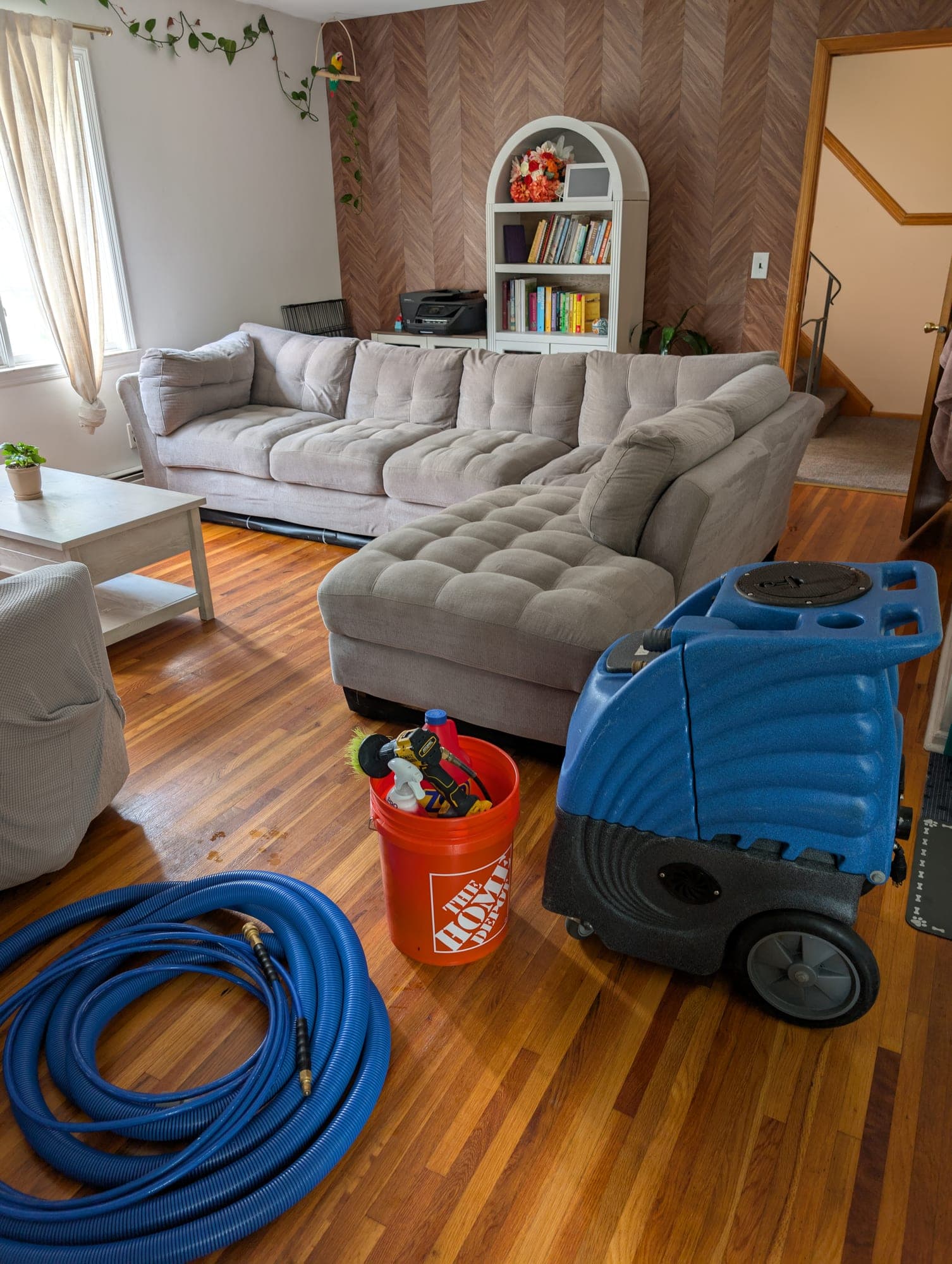 Professional blue hot-water-extraction unit, hoses and solution staged in a living room before a carpet cleaning