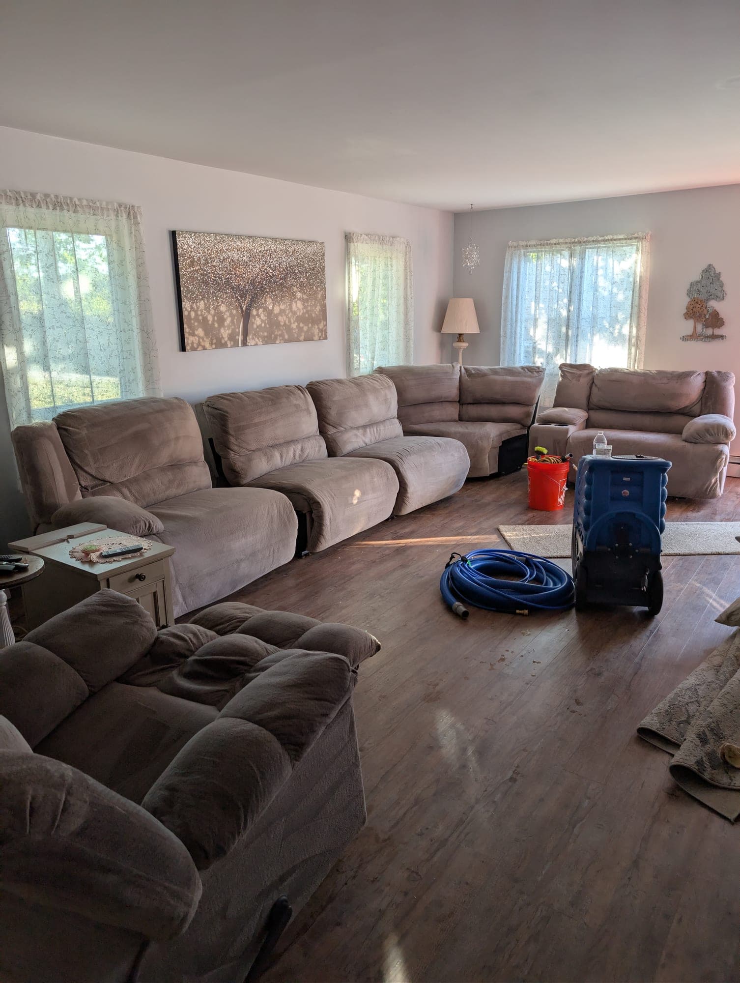 Large family room with oversized gray sectional and freshly cleaned carpet showing wand marks